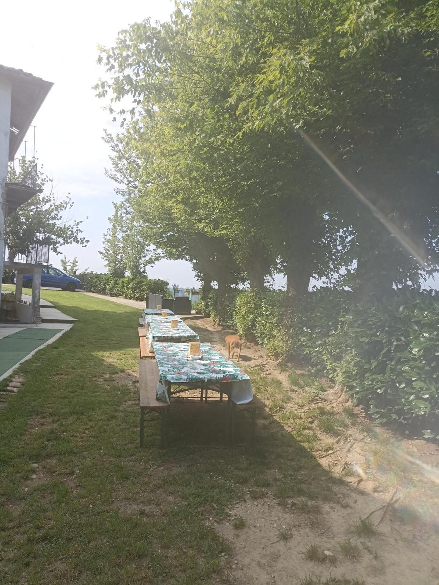 La Terrazza Lägenhet Asti Exteriör bild
